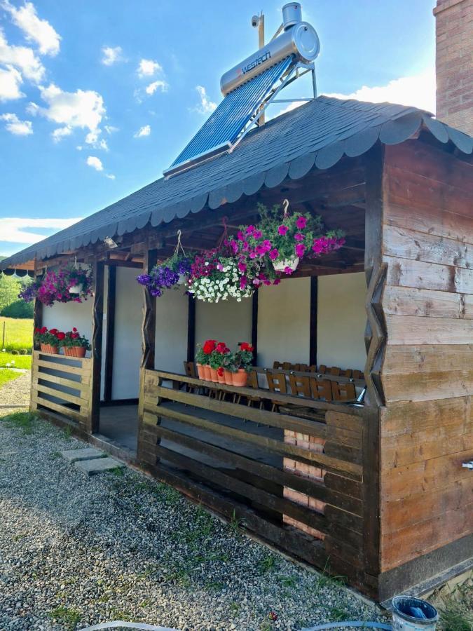 A-Frame Bucovina- Paradis Bucovinean Capu Cimpului Экстерьер фото